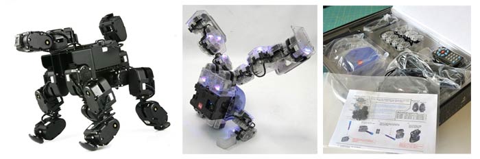 Упаковка с набором ROBOBUILDER 5720Т, робопёс и танцующий гуманоид